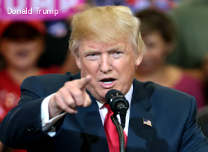 Stati Uniti: se al mid-term i democratici conquistano la maggioranza, l'impeachment per Trump è sicuro